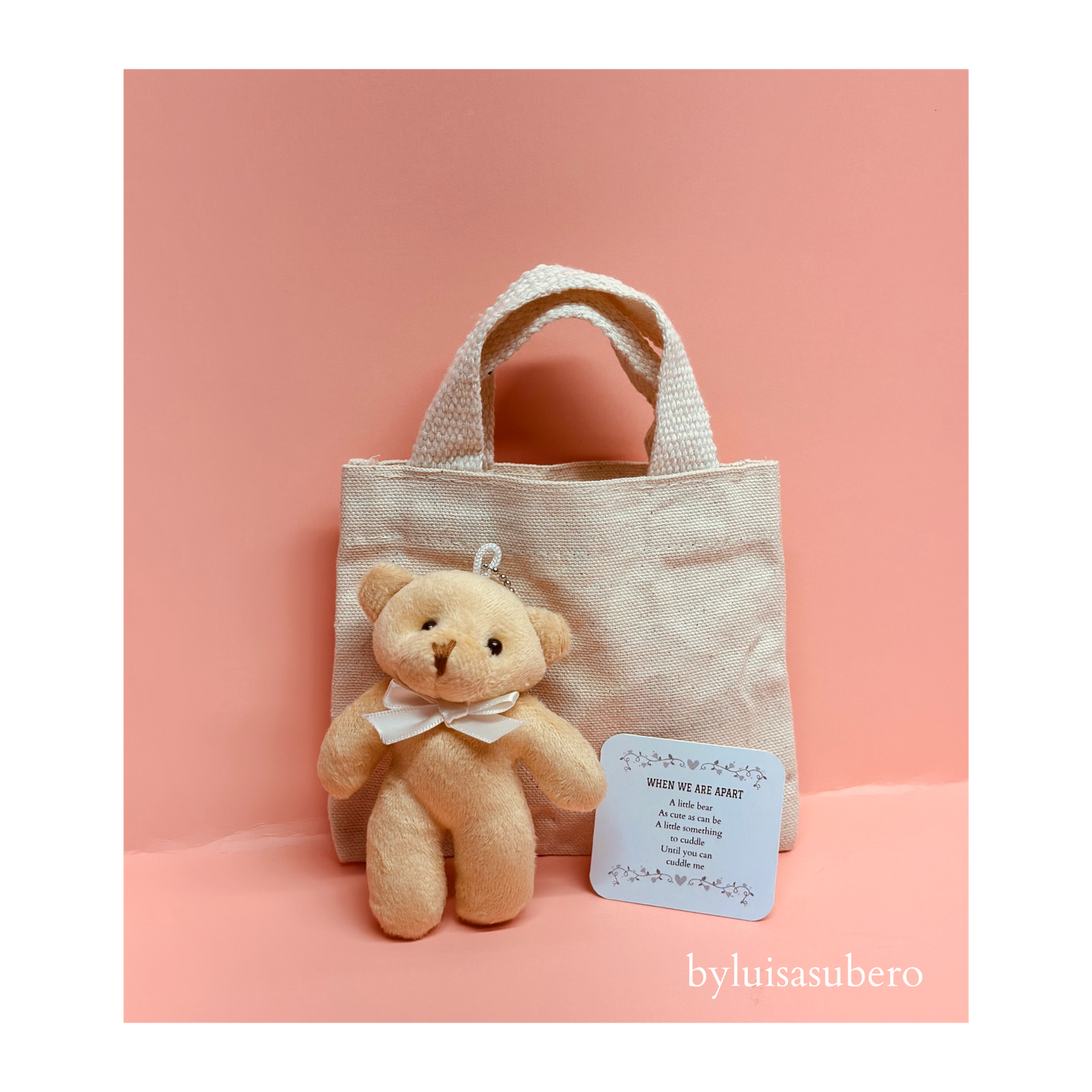 Teddy Bear gift bag